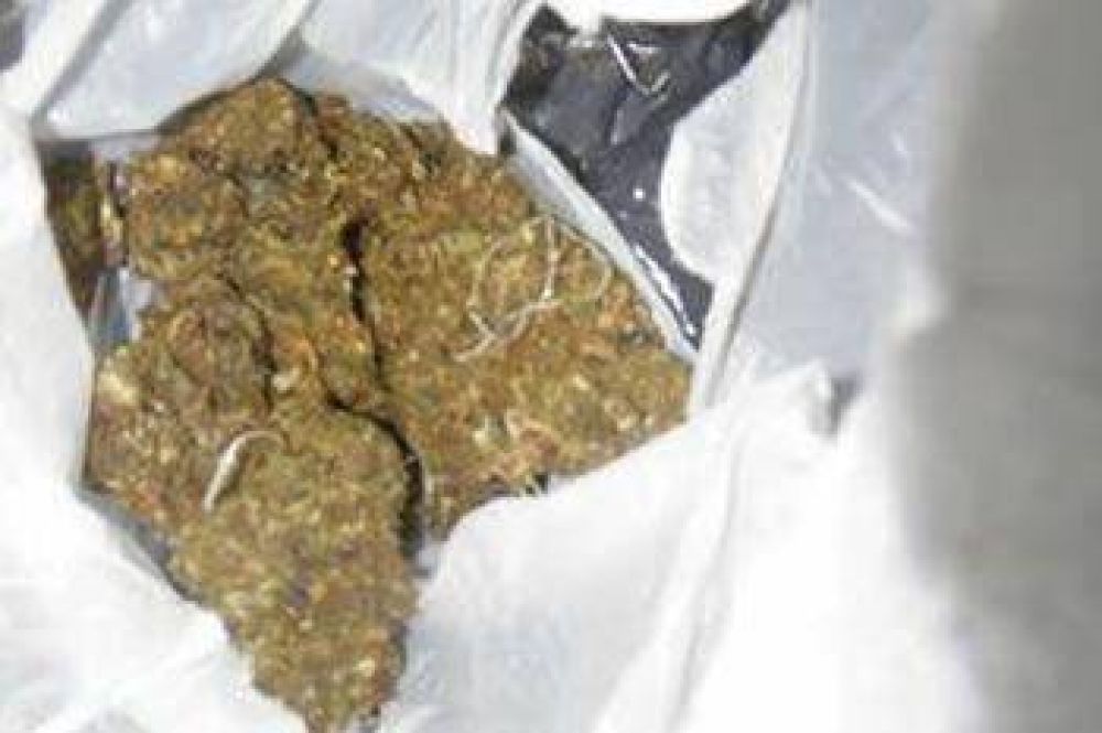 SECUESTRAN MEDIO KILO DE MARIHUANA Y UNA IMPORTANTE CANTIDAD DE COCA�NA