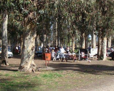 Piden vetar la ordenanza que cede hect�reas de Camet