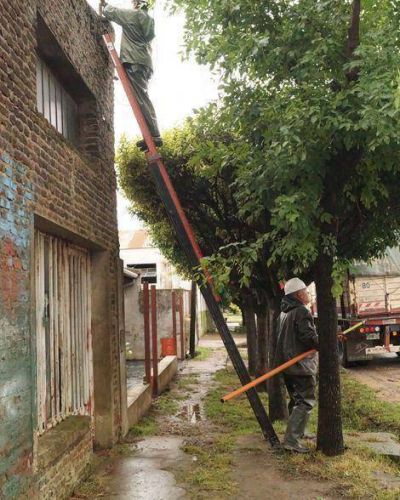 Aseguran que se restablece progresivamente el servicio de energ�a el�ctrica 