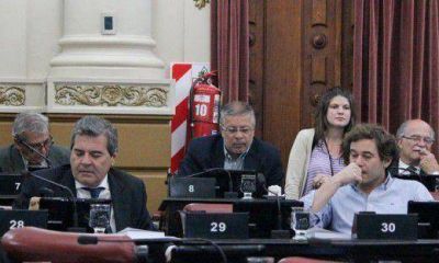 Papel�n: la Legislatura le quit� el reconocimiento a La Fiel