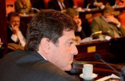 Senado: Mariotto junt� a la tropa K