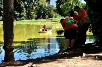 Creyeron que era un cad�ver, pero result� un maniqu�