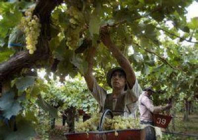 La Corte Suprema declar� prescripta la deuda de productores sanjuaninos