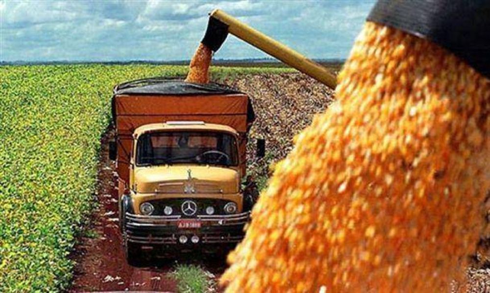 CATAC determin� el aumento de tarifas para la cosecha venidera