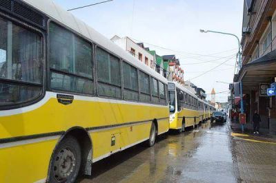 Choferes ratificaron el pedido de continuidad laboral