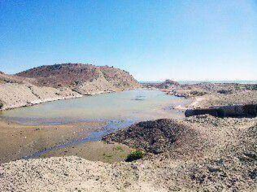 SCPL planea realizar 14 cortes del suministro para Caleta en verano