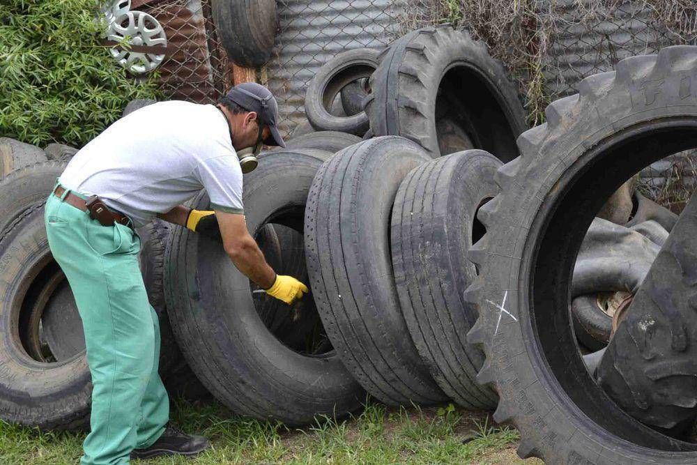 Comenz� la campa�a de prevenci�n del dengue
