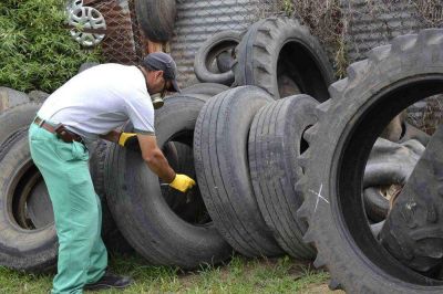 Comenz� la campa�a de prevenci�n del dengue
