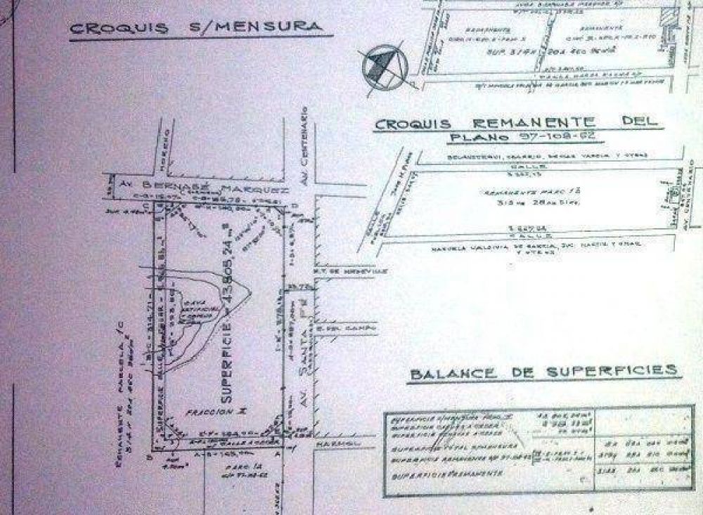 Proyecto inmobiliario pone en riesgo unos 43 mil m2 de verde