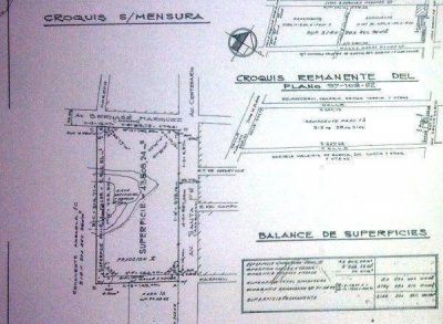 Proyecto inmobiliario pone en riesgo unos 43 mil m2 de verde