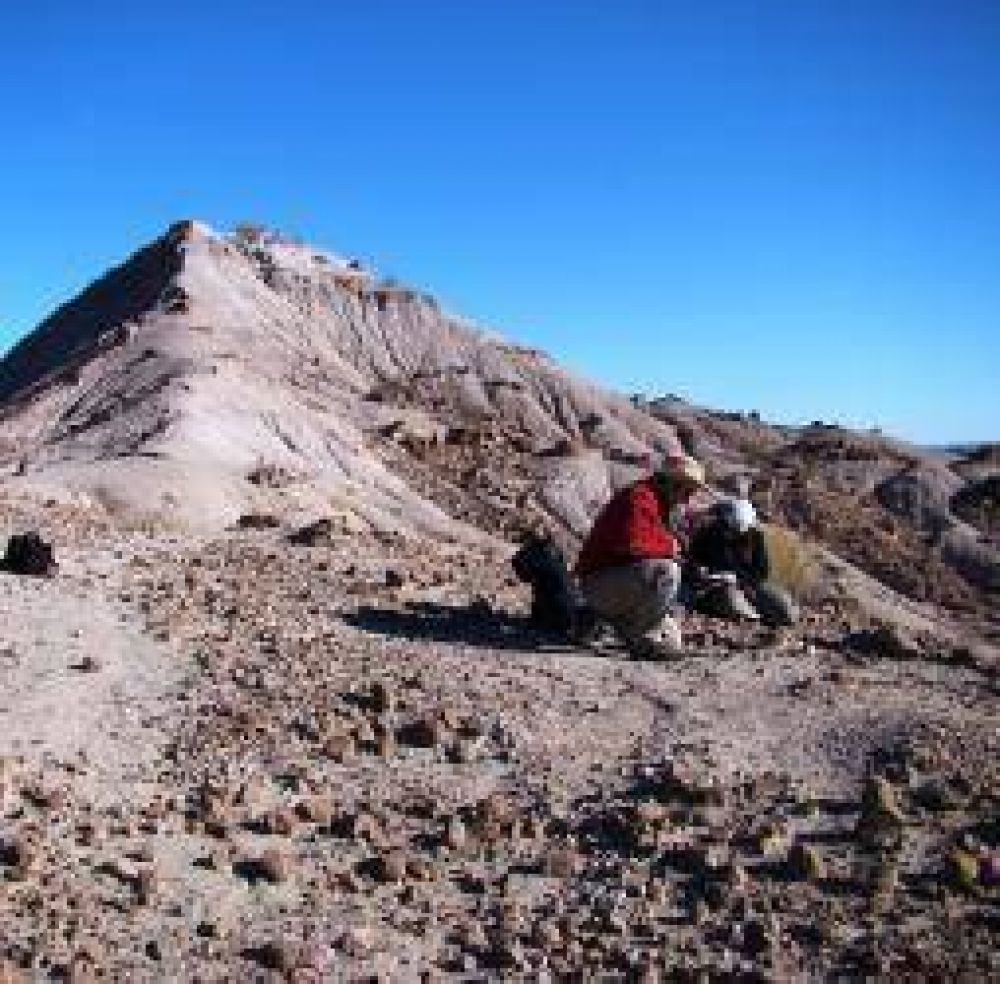 Ins�lito hallazgo paleontol�gico en el Parque Nacional Talampaya