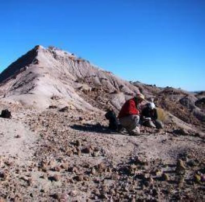 Ins�lito hallazgo paleontol�gico en el Parque Nacional Talampaya