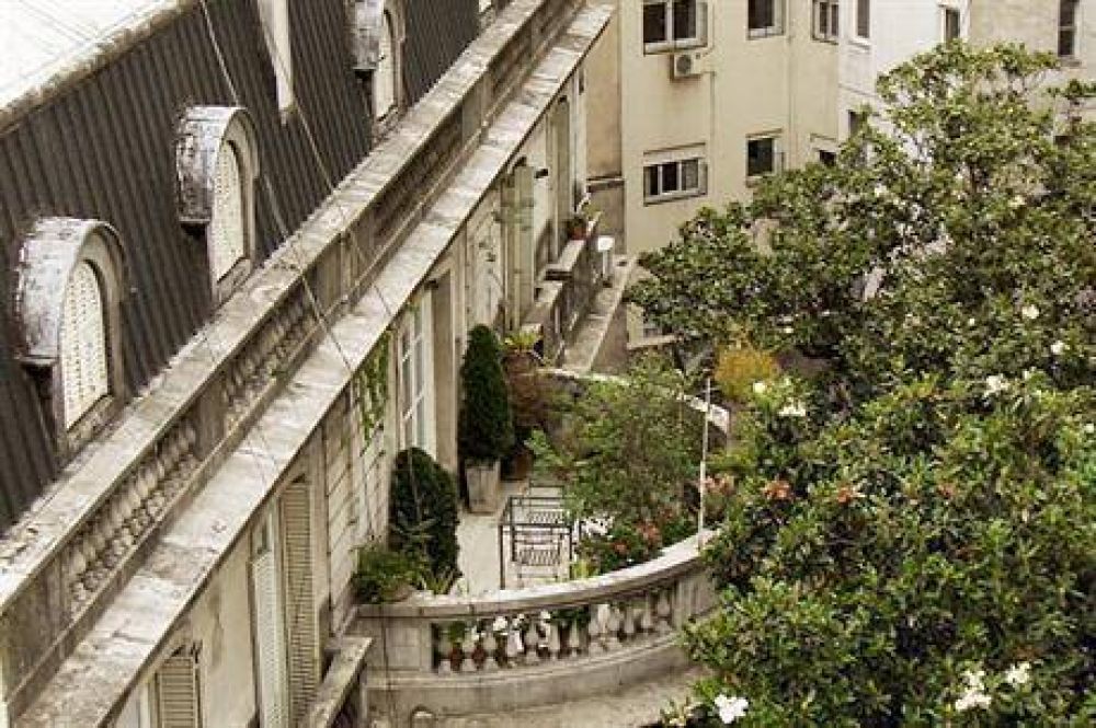 Guerra de vecinos por una invasi�n de palomas en un jard�n de magnolia en Recoleta