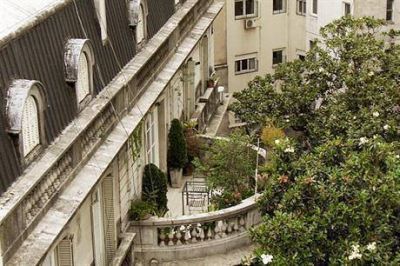Guerra de vecinos por una invasi�n de palomas en un jard�n de magnolia en Recoleta