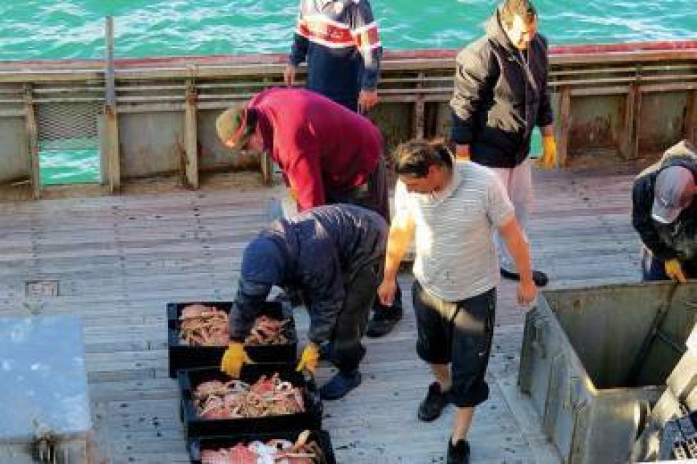 Tres barcos centolleros le dan ox�geno al puerto de Comodoro