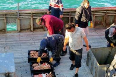 Tres barcos centolleros le dan ox�geno al puerto de Comodoro
