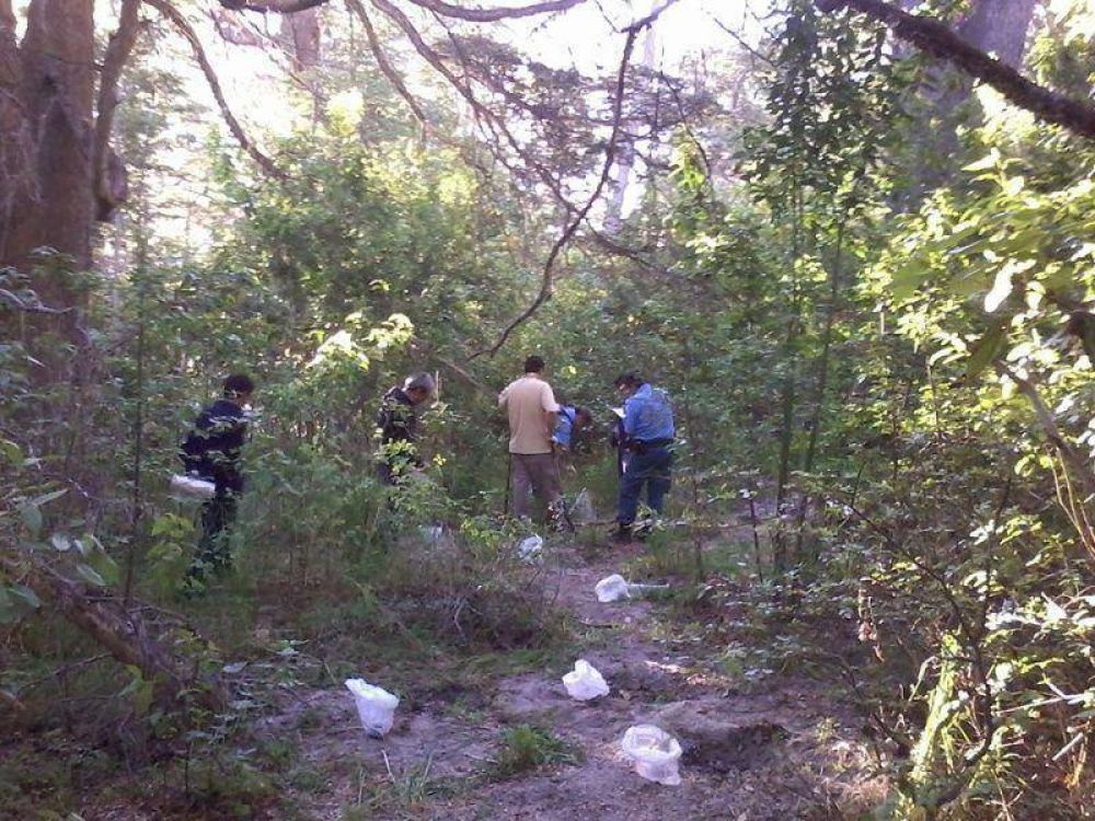Secuestraron plantas de marihuana en el predio de la UBA