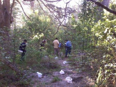 Secuestraron plantas de marihuana en el predio de la UBA