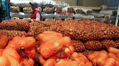 Re�nen en manual requisitos para exportar frutas y hortalizas