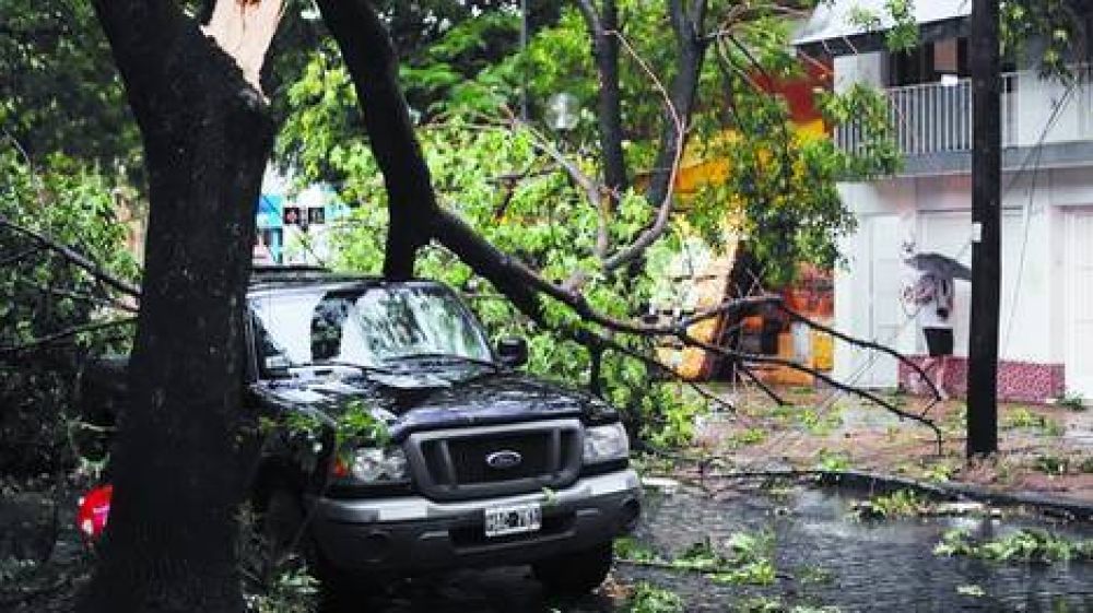 Chivilcoy quedó arrasada: volaron 54 techos y cayeron 3.000 árboles