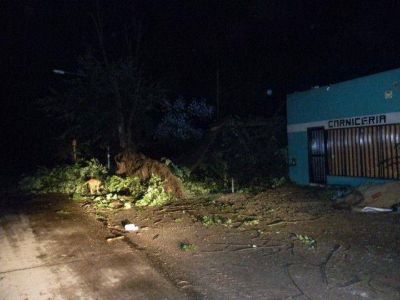 Olivera se llev� la peor parte del temporal