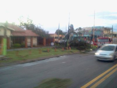 Destrozos por el fuerte temporal