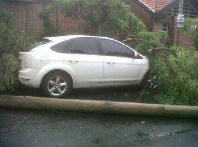 Sopl� el viento Pampero sobre Quilmes y ocasion� destrozos