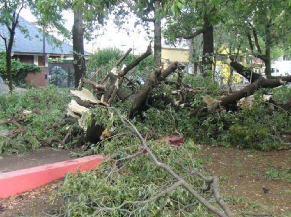 Intensas r�fagas de viento generaron en 5 minutos destrucci�n en Venado Tuerto