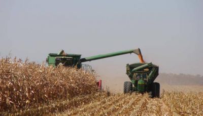 De cada 4 d�lares que genera el agro, C�rdoba aporta uno