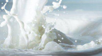 Cae 50% importacin de productos lcteos de Argentina