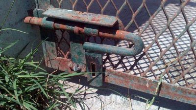 El Municipio denunci� que realizaron da�os y se llevaron perros de Bromatolog�a