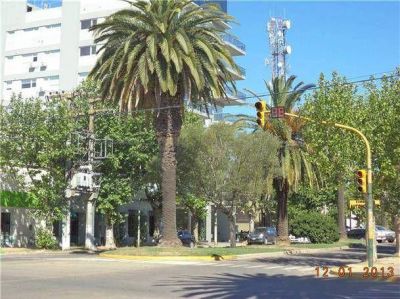 �Se vienen m�s sem�foros?
