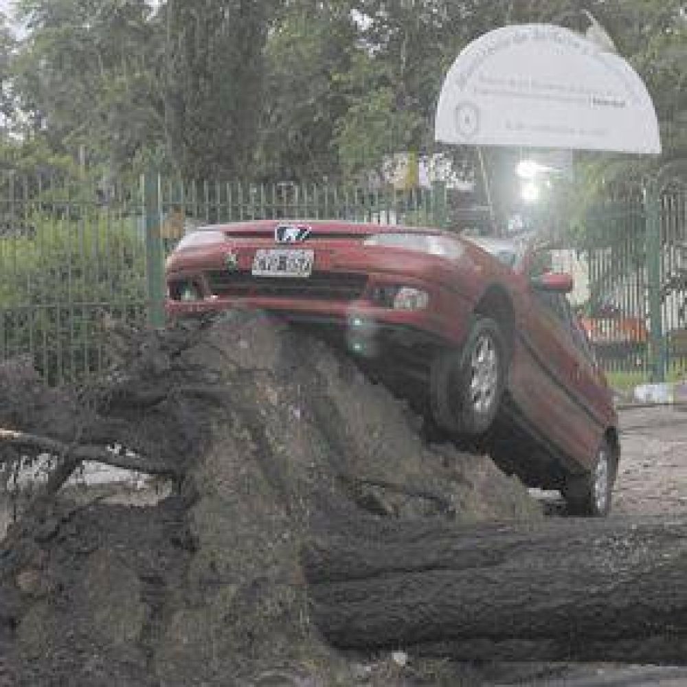 La Plata, azotada por la furia de la naturaleza