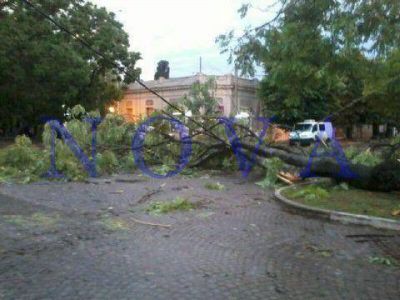 Otra vez el miedo: fuerte temporal de lluvia y viento en la ciudad de La Plata