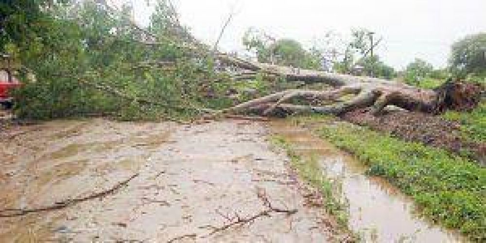 Destrozos en varias localidades del interior por fuertes lluvias con viento