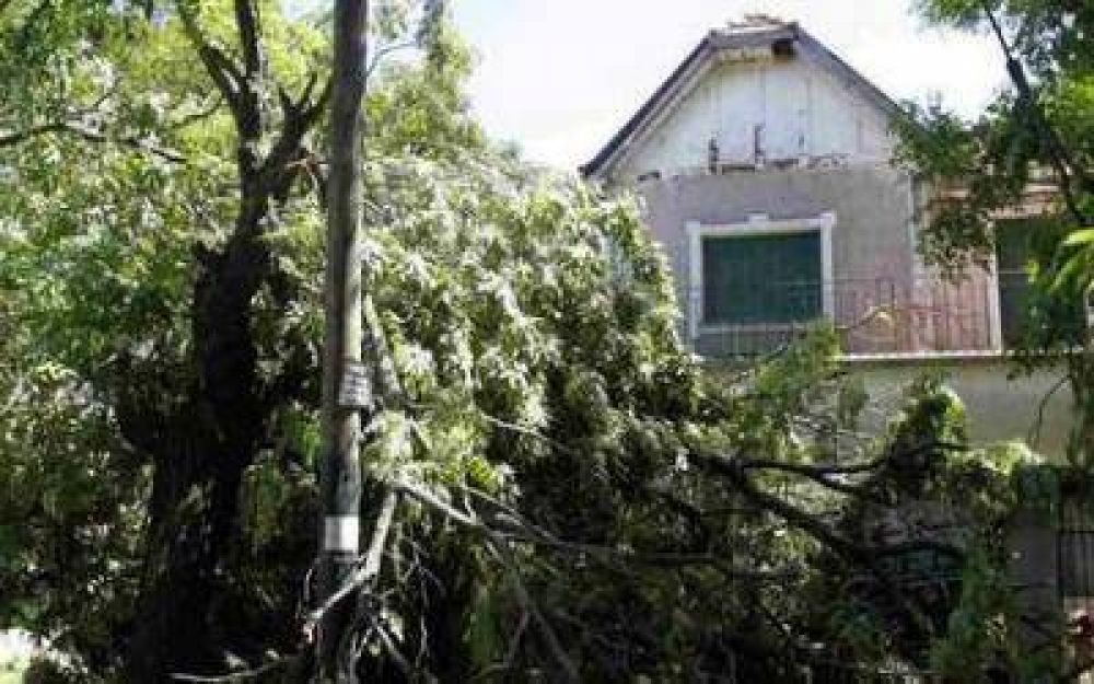Temporal: El Intendente de Quilmes decret� la "emergencia clim�tica"