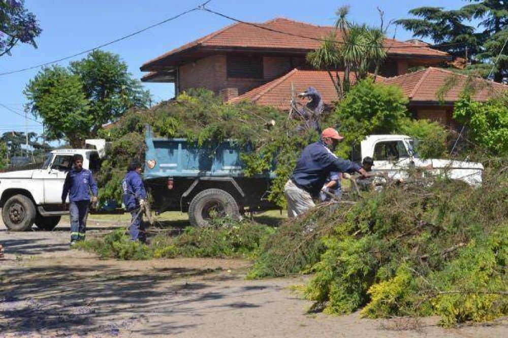 Quilmes: El municipio informa las tareas que se est�n realizando tras la tormenta