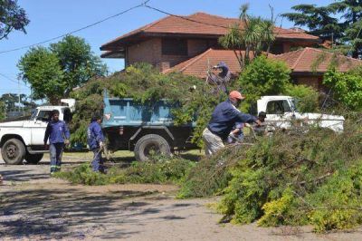 Quilmes: El municipio informa las tareas que se est�n realizando tras la tormenta