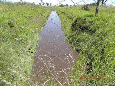 Obras Sanitarias afirm� que la mancha en el mar obedeci� a un �Fen�meno Natural�