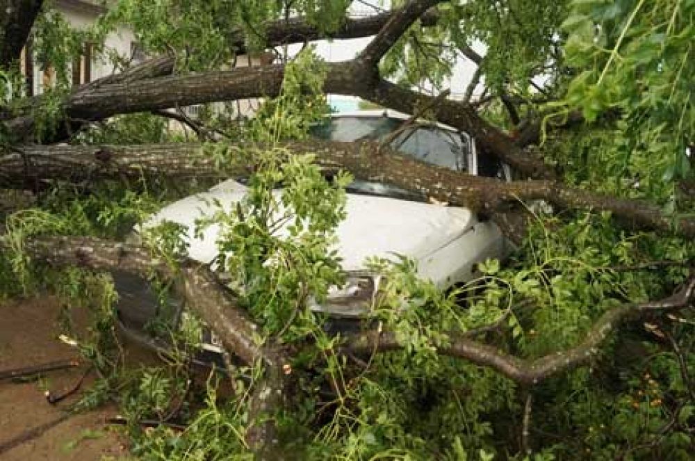 Las plazas fueron devastadas 