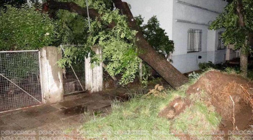 Una furiosa tormenta caus� estragos y conmoci�n en los barrios de la Ciudad