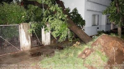 Una furiosa tormenta caus� estragos y conmoci�n en los barrios de la Ciudad
