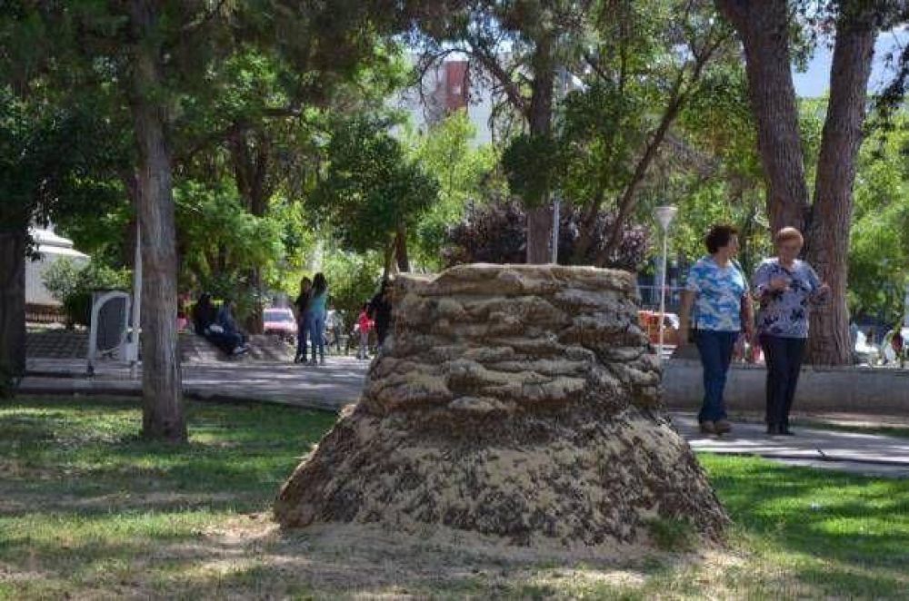 Desmedida �poda� de la Municipalidad en plaza Independencia