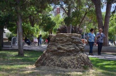 Desmedida �poda� de la Municipalidad en plaza Independencia