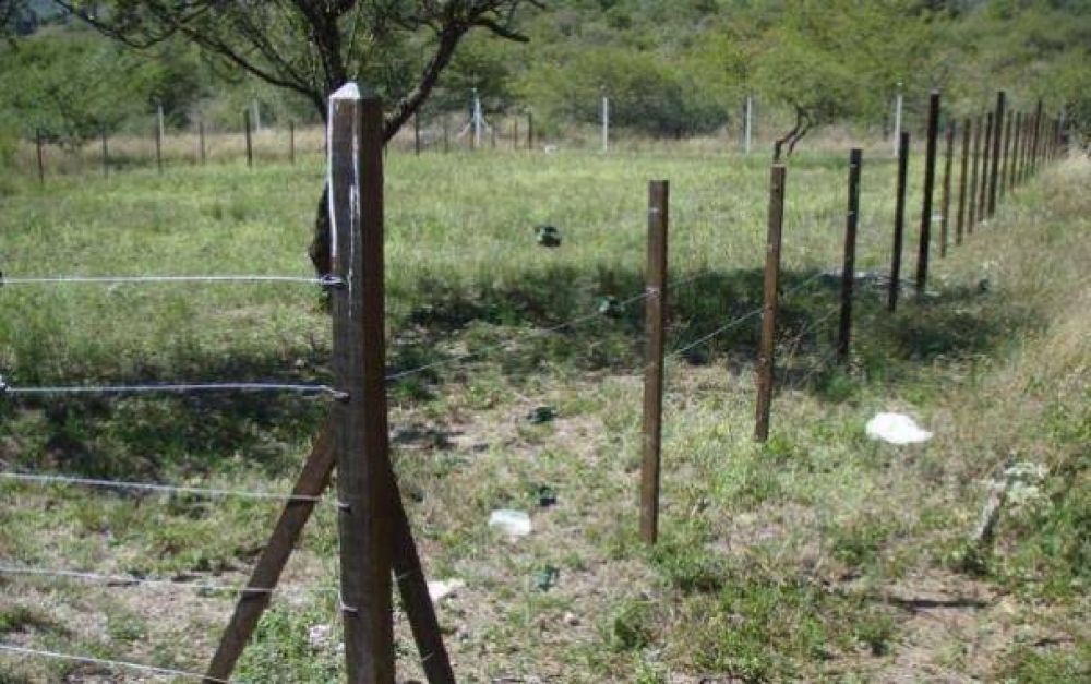Procrear: "Sale m�s caro comprar el terreno que construir la casa"