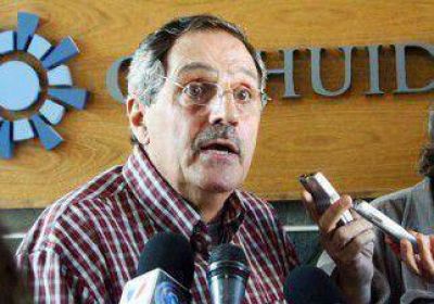 Para El�as Sapag, ahora "hay decisi�n pol�tica� de avanzar con Chihuido I 