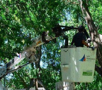 En San Fernando realizaron tareas de remoci�n de �rboles ca�dos, ramas, postes y trabajos de limpieza tras los fuertes vientos