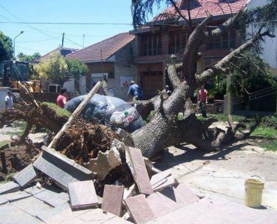 Tormenta: En forma paulatina la ciudad retoma su ritmo