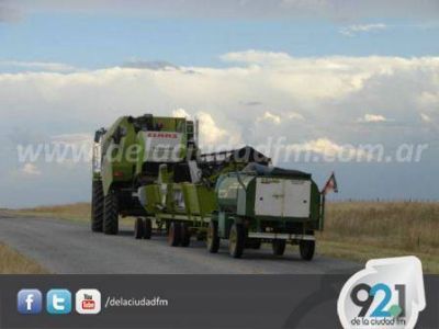La cosecha de trigo comienza a dar sus primeros pasos en la regi�n