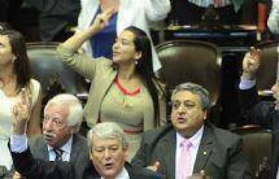 Evita Isa, Pablo L�pez y Guillermo Durand juraron por Salta en la C�mara Baja Nacional